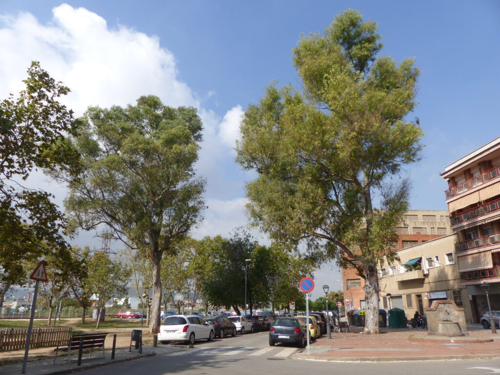 passeig pollancreda